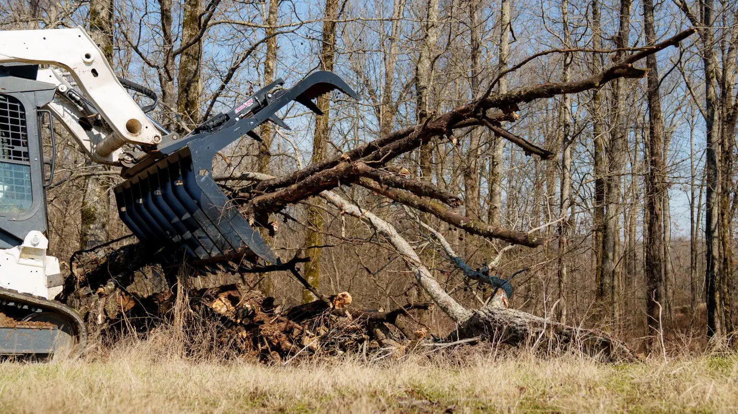 Compact track loader with a root grapple lifting a downed tree out of a woodlot