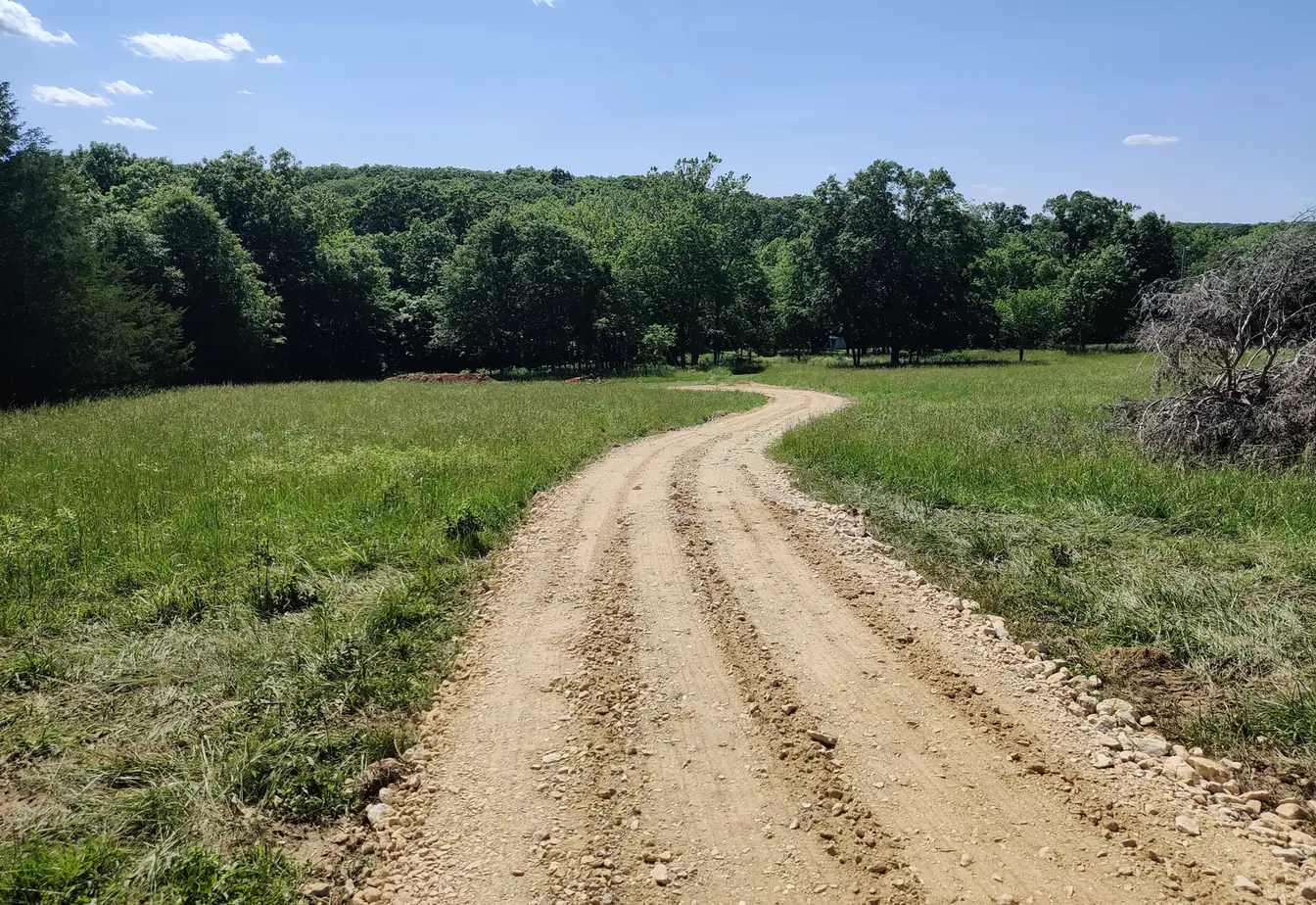 Long gravel drive curving through an open green field toward a hardwood treeline