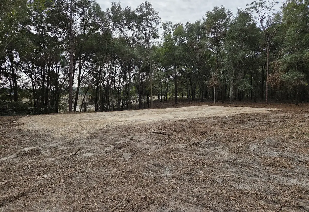 Cleared building site with the pad area spread and leveled inside a ring of pines and oaks