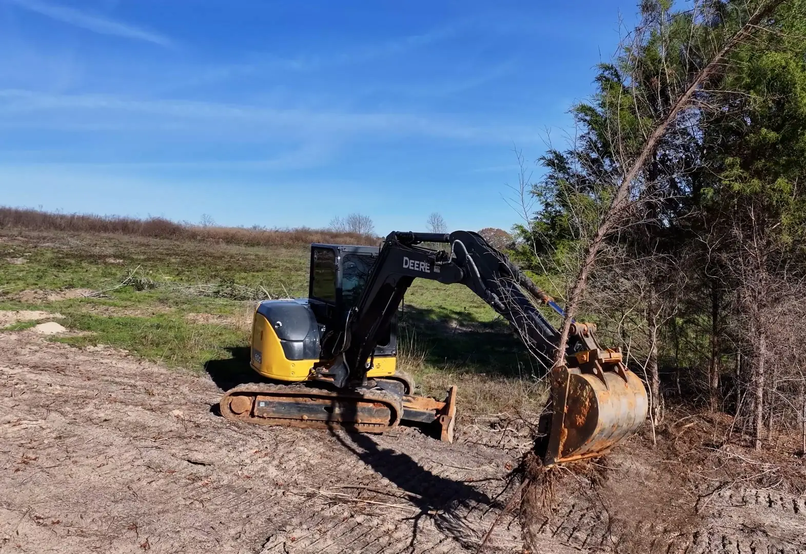 Tracked excavator pulling a small pine out of an open field at the edge of the woods