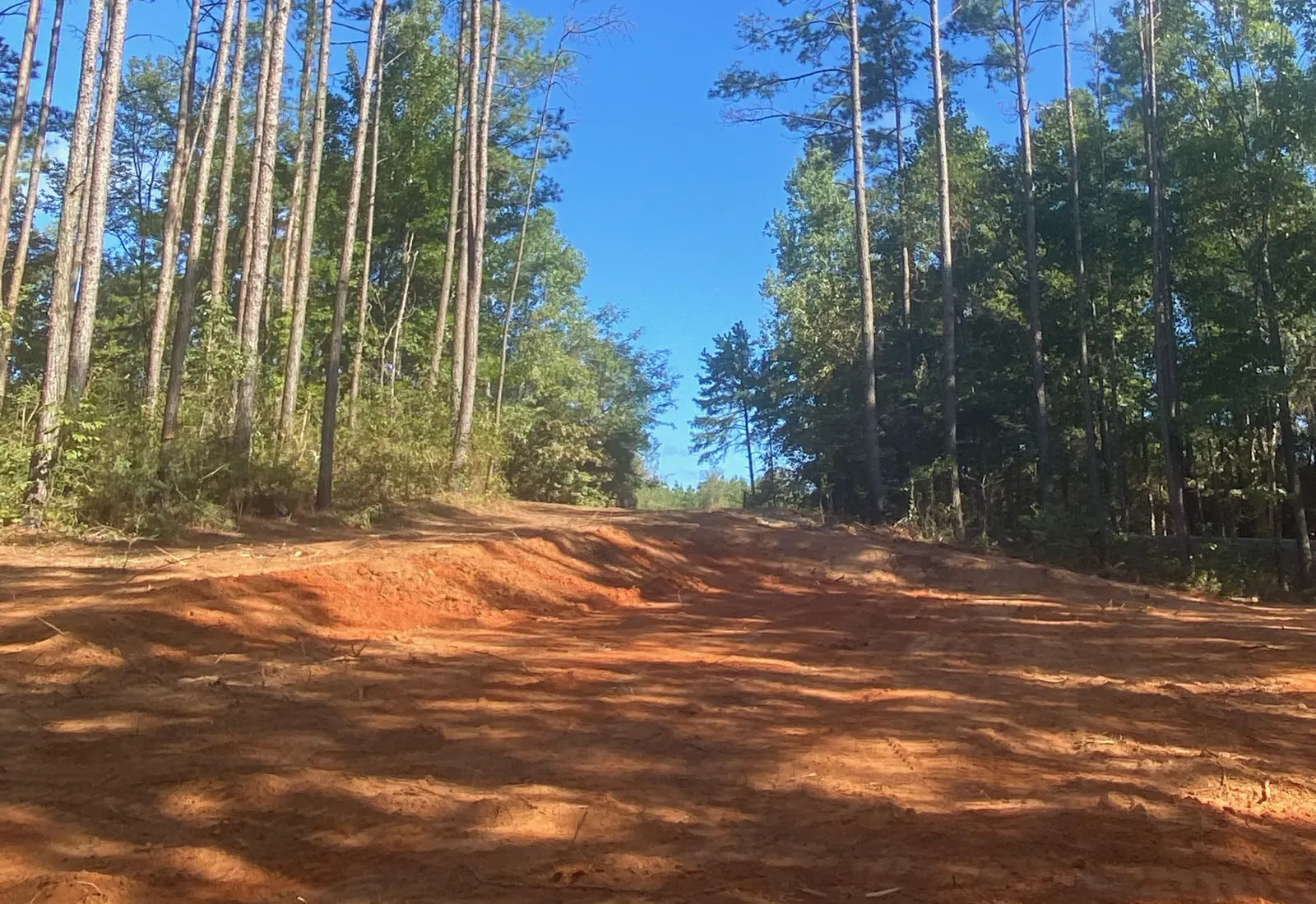 Smooth red dirt road cut through tall pines on a north Louisiana job