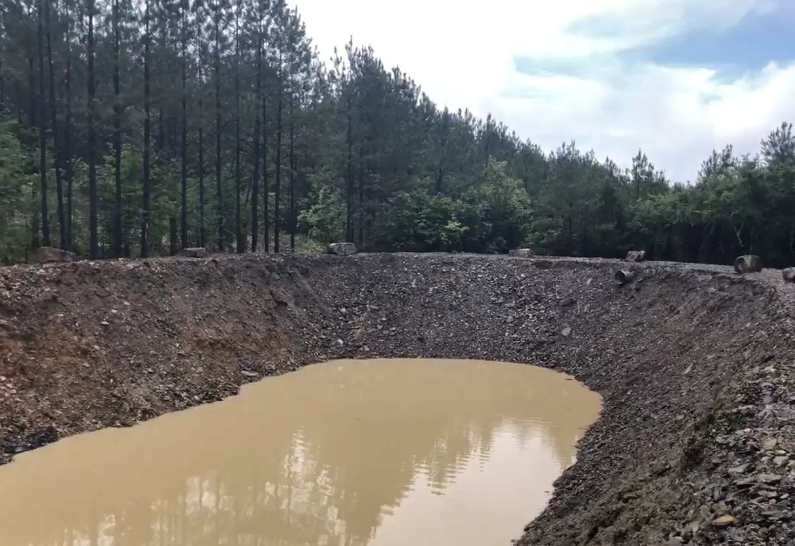 Newly dug pond basin starting to fill, with the shaped bank and a pine treeline behind