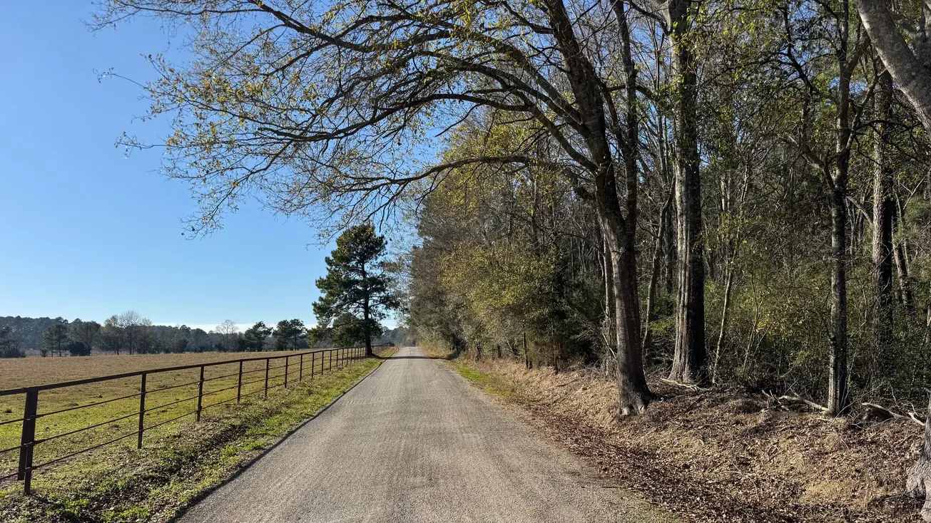 Gravel farm road running along a fence line through green pasture and pine country
