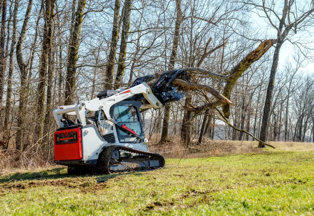 Compact track loader with a grapple lifting a heavy downed limb off a grass yard